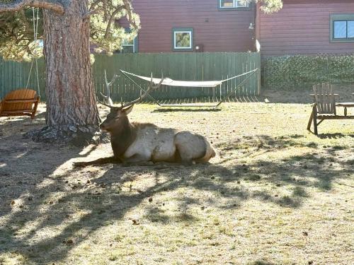 Mountain Shadows Resort in Estes Park, USA