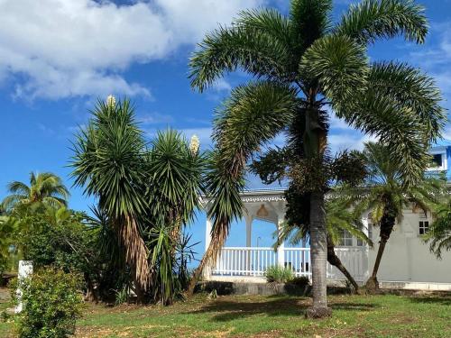 Garden, Sunset Caraibes in Bouillante