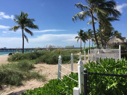 Beach, High Noon Beach Resort in Lauderdale-by-the-Sea