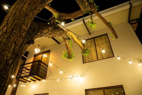 오악사카 The Brown House 2성급 싱글룸 부대시설