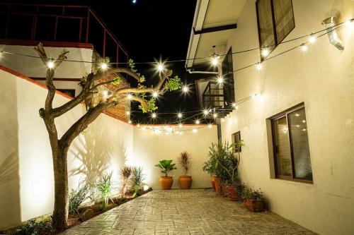 오악사카 The Brown House 2성급 싱글룸 레스토랑