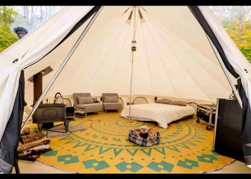 Piebald Mountain Pet Friendly Tents, Petersburg, New York in Cold Spring