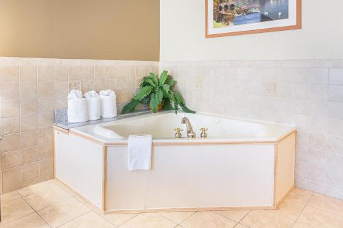 浴室, 凱藝酒店 (Quality Inn) in 北康威