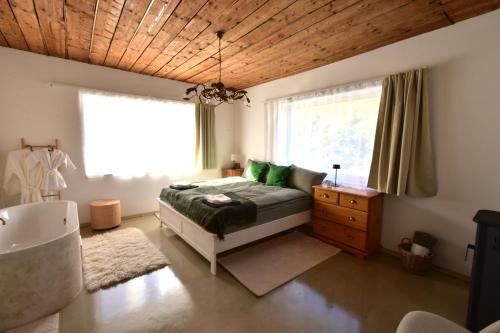 Green Escape-Entire House in Moldovenesti