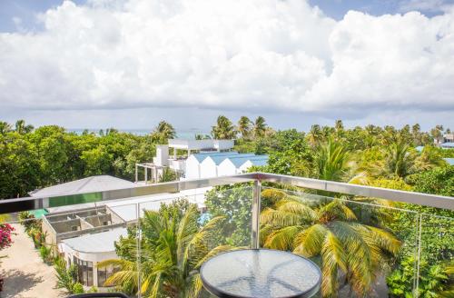 Surrounding environment, Paradise Found near Dhiffushi Island (South Ari Atoll)