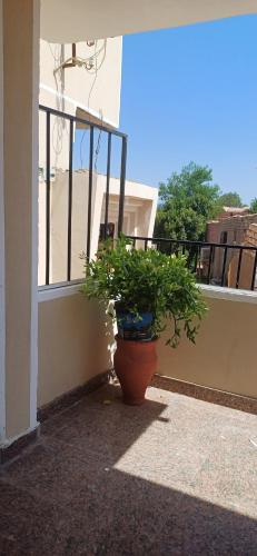 入口, Golden Sun House II in 阿布辛貝