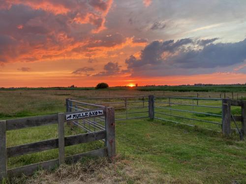 BnB Purmerland - image 5
