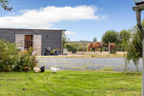 BnB Purmerland in เปอร์เมอเร็น