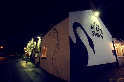 The Black Swan 3