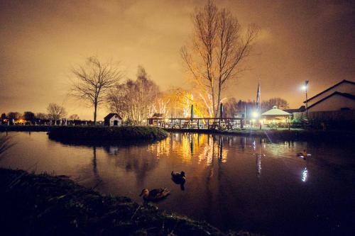 The Black Swan 2