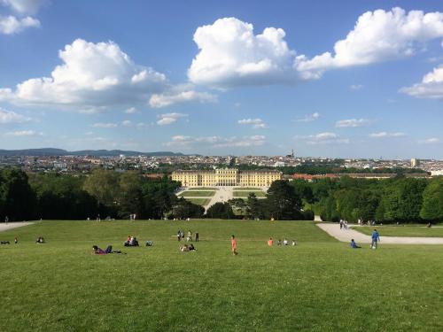 100 m2 Sunny Apartments - Schoenbrunn - image 11