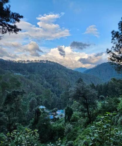 Vista, HillNesst -Private 3-Bedroom Mountain Home in Bhowali in Nainital