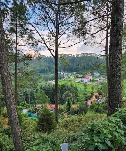 Vista, HillNesst -Private 3-Bedroom Mountain Home in Bhowali in Nainital