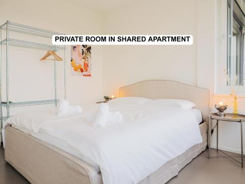 Modernes Hostel, Privatzimmer in Shared Apartment, WYBA Living