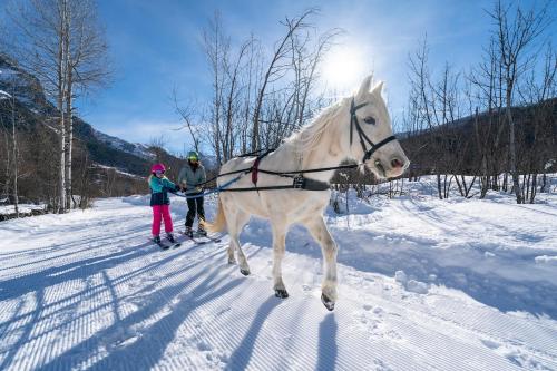 الأنشطة, Studio à Vallouise-Pelvoux - Puy Saint Vincent, nature, rando et ski (Studio a Vallouise-Pelvoux - Puy Saint Vincent, nature, rando et ski) in فالويز