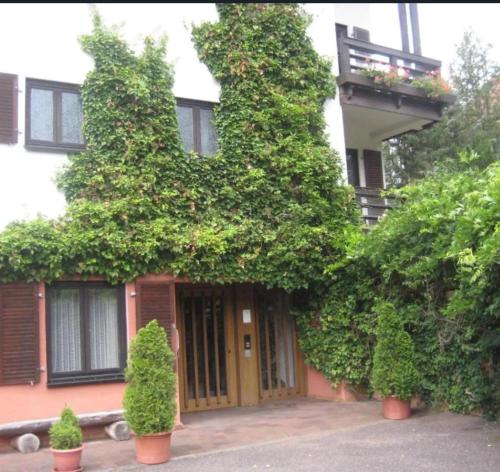 auf dem roten fels Hotel in 埃彭布倫
