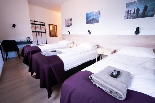 Puffin Hotel Vík - main image