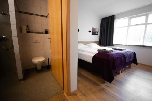 Puffin Hotel Vík - image 5