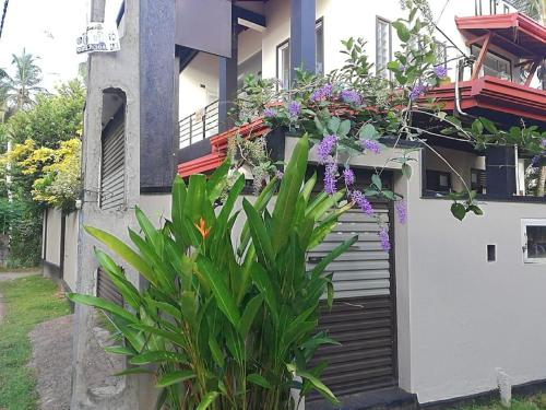 Menuks villa