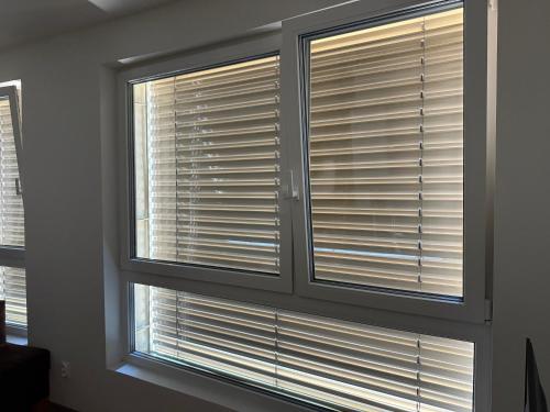 商務中心, Simcity IX l Central park with Air Conditioning, free garage parking, balcony and 24 7 self check-in in 班斯卡比斯特里察市中心