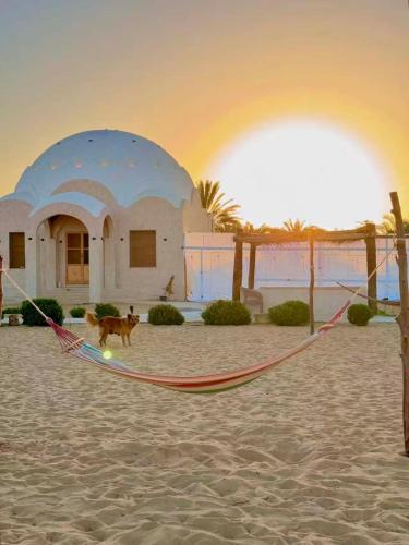 Gazrashek Siwa Hot spring& trips Haven in Siwa