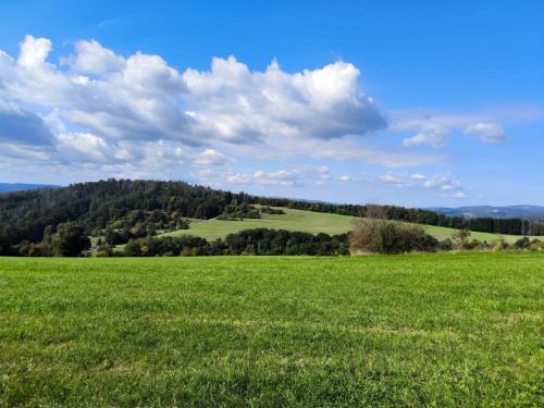 Skats, Am Springelbach in Nahetal-Waldau