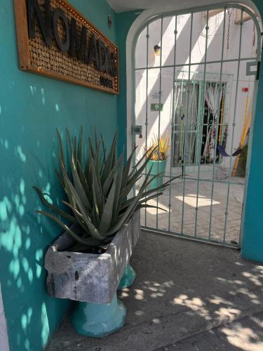 Nómadas Hostel, La Paz (fotografie 9)