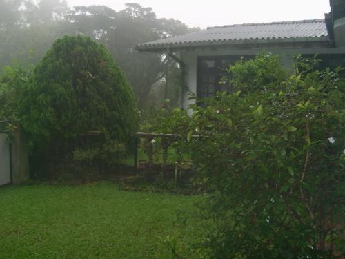 

Green Hills In The Mist