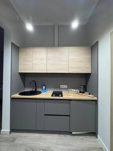 Апартаменти біля парку з бюветом мінеральної води (Апартаменти біля парку з бюветом мінеральноі води) in 特魯斯卡韋茨