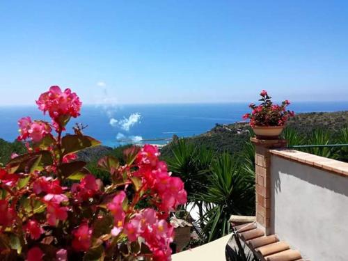 B&B Le Anthos – Marina di Camerota, UT