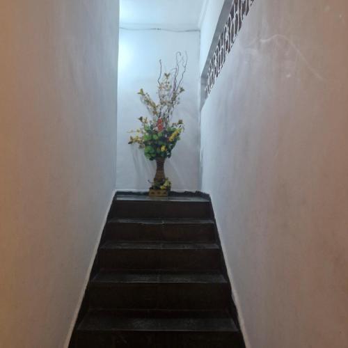 Residencia familiar in Saude