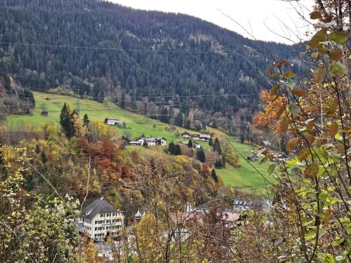 Ferienwohnung Palidi in Wald Am Arlberg