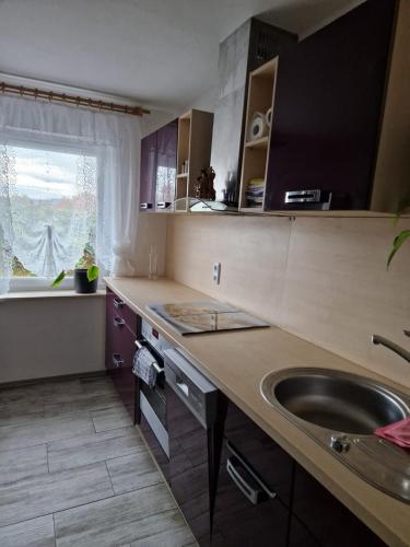 Ferienwohnung Krysanovsk in Eslarn