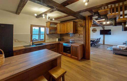 virtuve, Awesome Home In Karlovac With Wifi in Donje Pokuplje