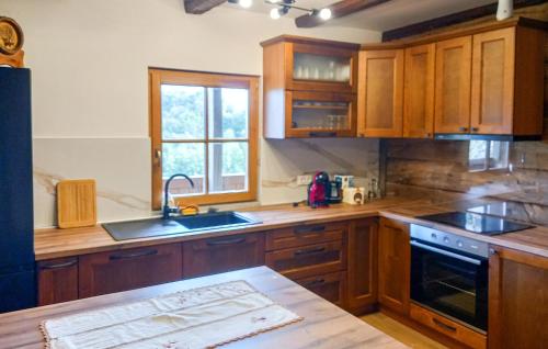 virtuve, Awesome Home In Karlovac With Wifi in Donje Pokuplje