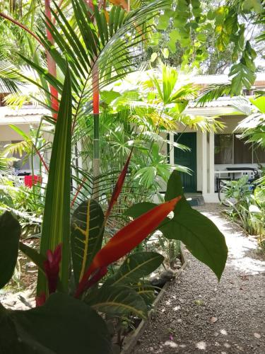 Hotel Exotic Lodge