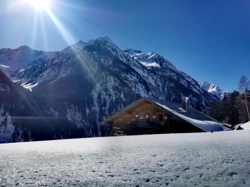 Alpenchalet Königreich Innerböden (Alpenchalet Konigreich Innerboden) in 弗林肯貝格