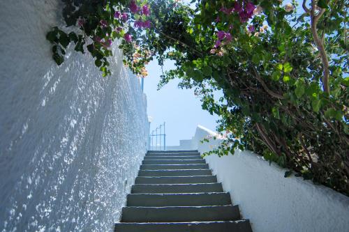 Ios Plage Hotel