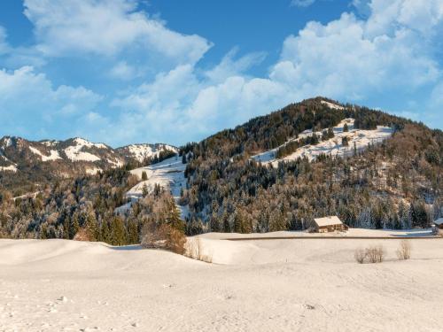 Apkārtne, Dog-friendly holiday apartment in Bregenzerwald in Sibratsgfall