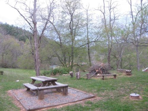 Apkārtne, Secluded Pet-Friendly Log Cabin near Asheville, North Carolina in Forest Hills (NC)