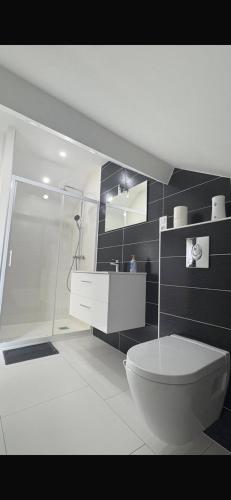 Duplex moderne et spacieux 6 couchages in Choisey