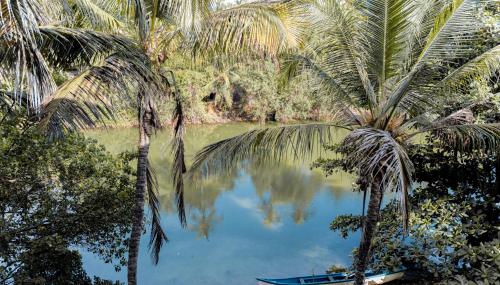 Casa Aqua Mandrem in Goa
