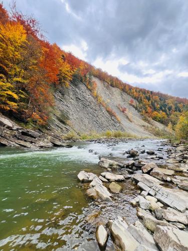 Котедж Гірський, Jaremče (fotografie 3)