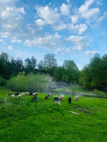 Котедж Гірський, Jaremče (fotografie 2)