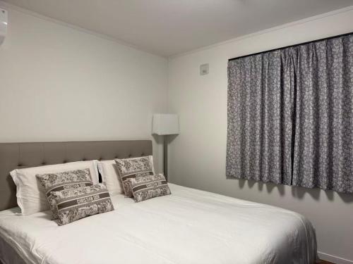 东京台东区豪华别墅