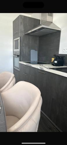 virtuve, Duplex moderne et spacieux 6 couchages in Choisey