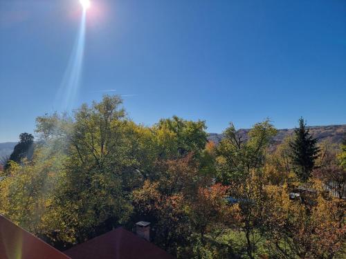 Elysium Zenith Estate in 下科爾努