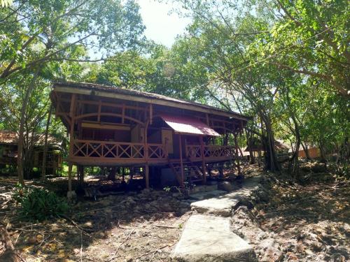 Hoga Island Dive Resort in Wakatobi