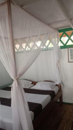 Hoga Island Dive Resort in Wakatobi