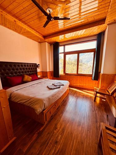 House of Paws in Haripur